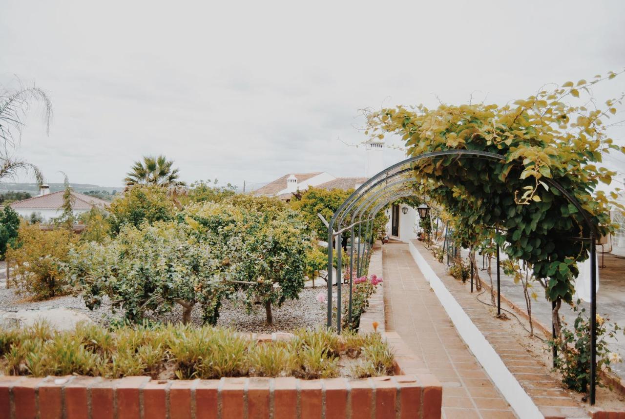 Quinta De Sao Pedro De Tomar Villa Exteriör bild