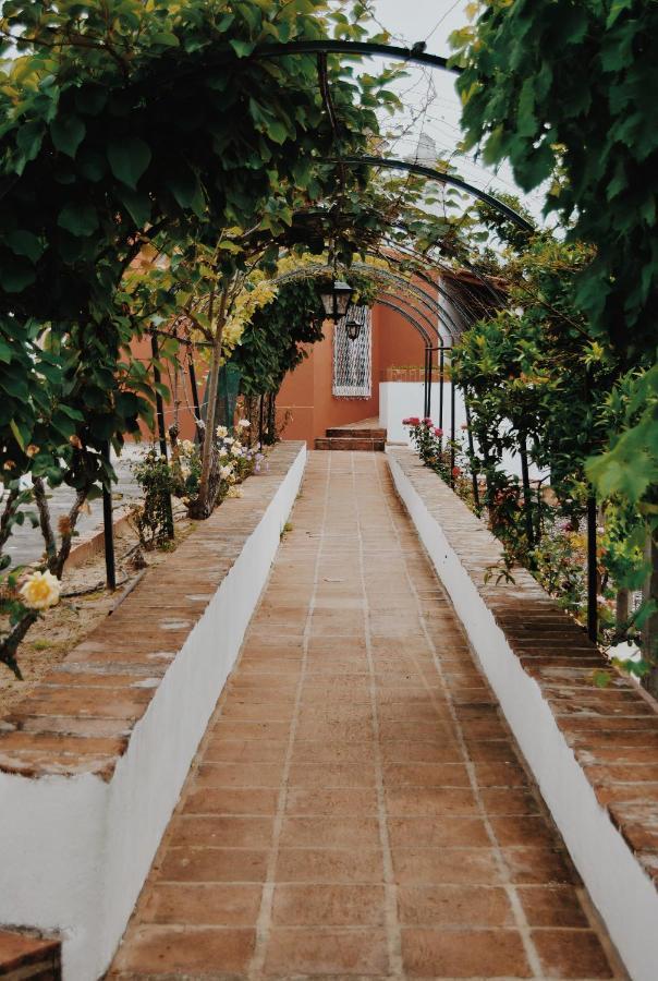 Quinta De Sao Pedro De Tomar Villa Exteriör bild