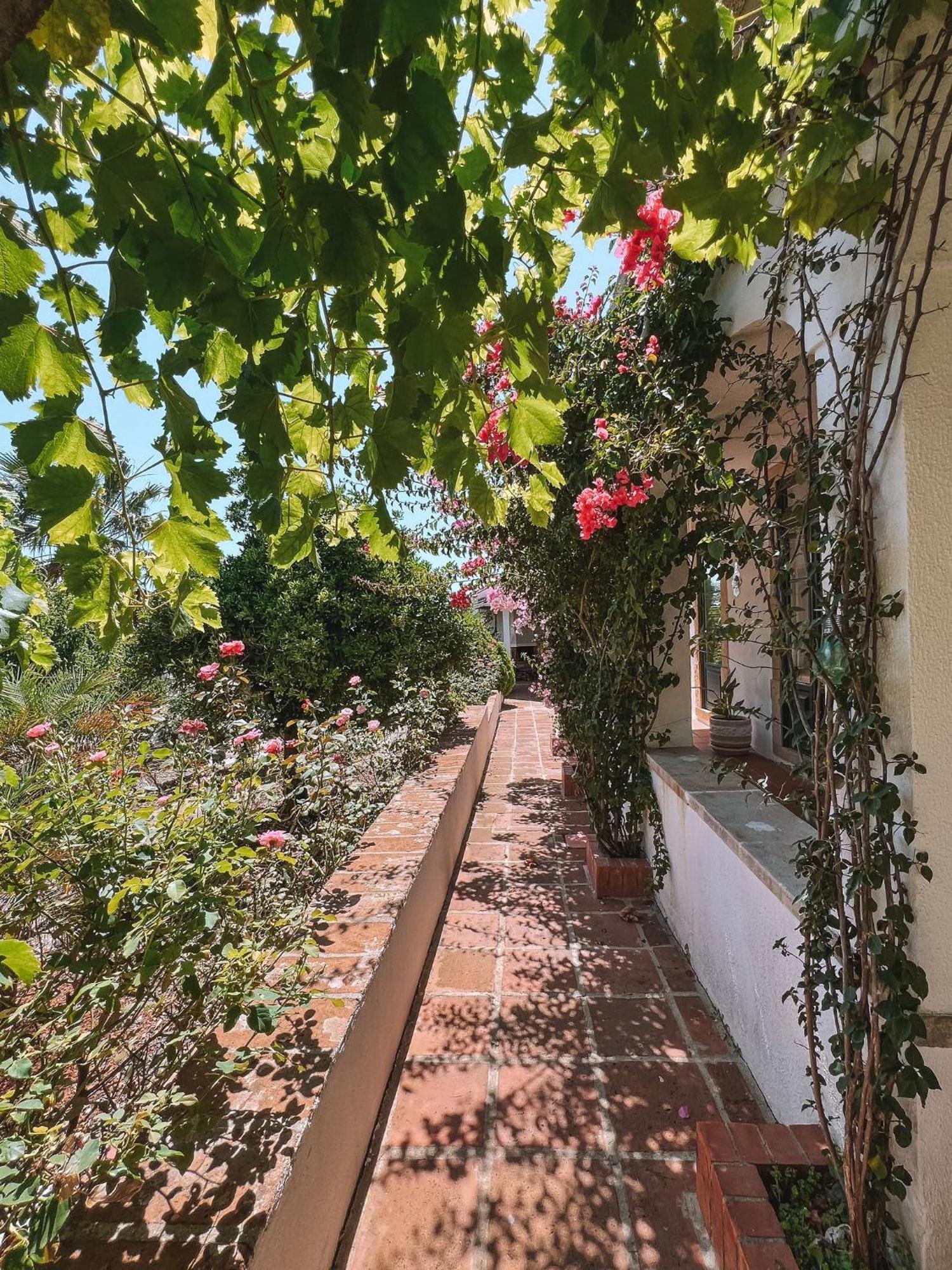 Quinta De Sao Pedro De Tomar Villa Exteriör bild